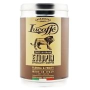 Lucaffé Etiopia Specialty 250 g Coffee Beans