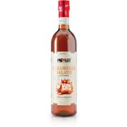 Nexus Salted Caramel makusiirappi 700 ml